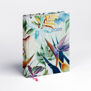 Librobello - Kalend�rium h�lgyeknek