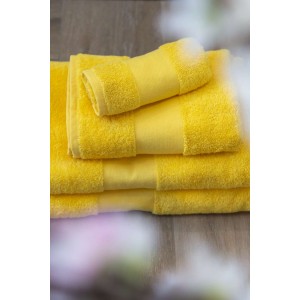 Olima t�r�lk�z�, Sunflower, 100X150